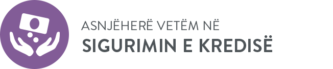 Sigurimi i Jet&euml;s s&euml; Debitorit
