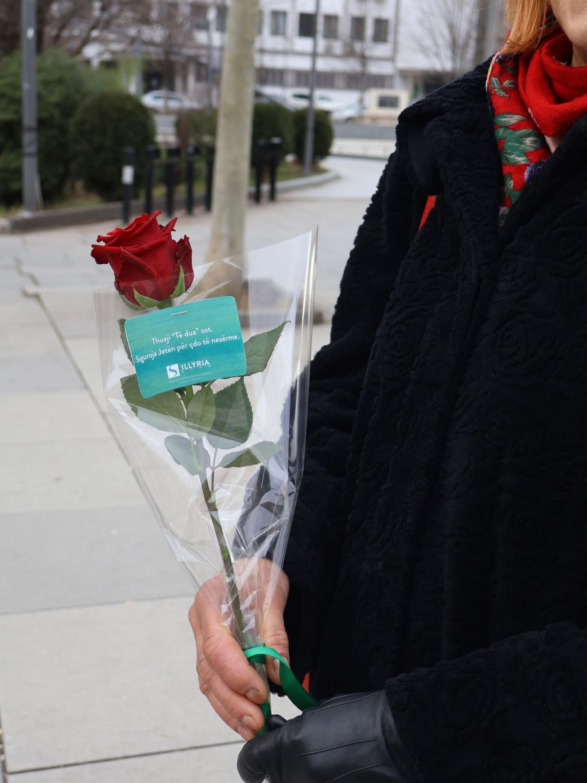Shen Valentini2