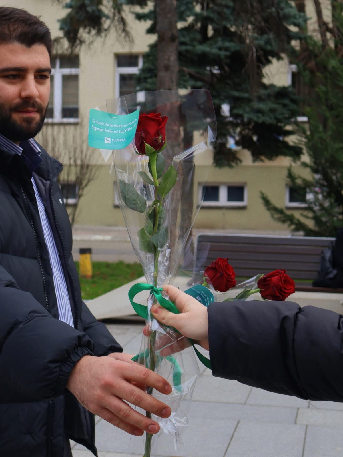Shen Valentini 7