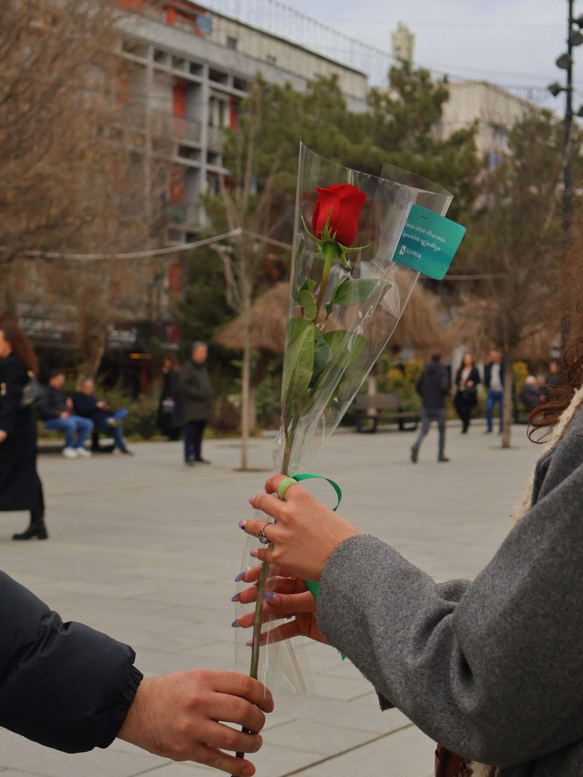 Shen Valentini3