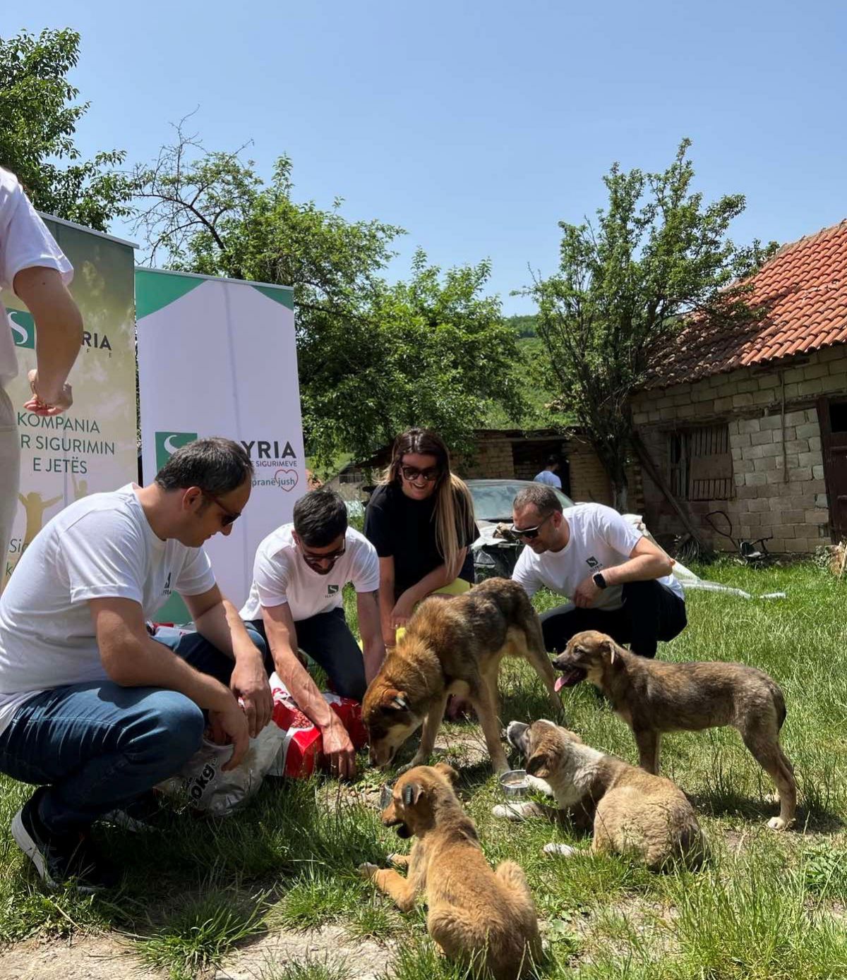 Aktiviteti me qent endacak