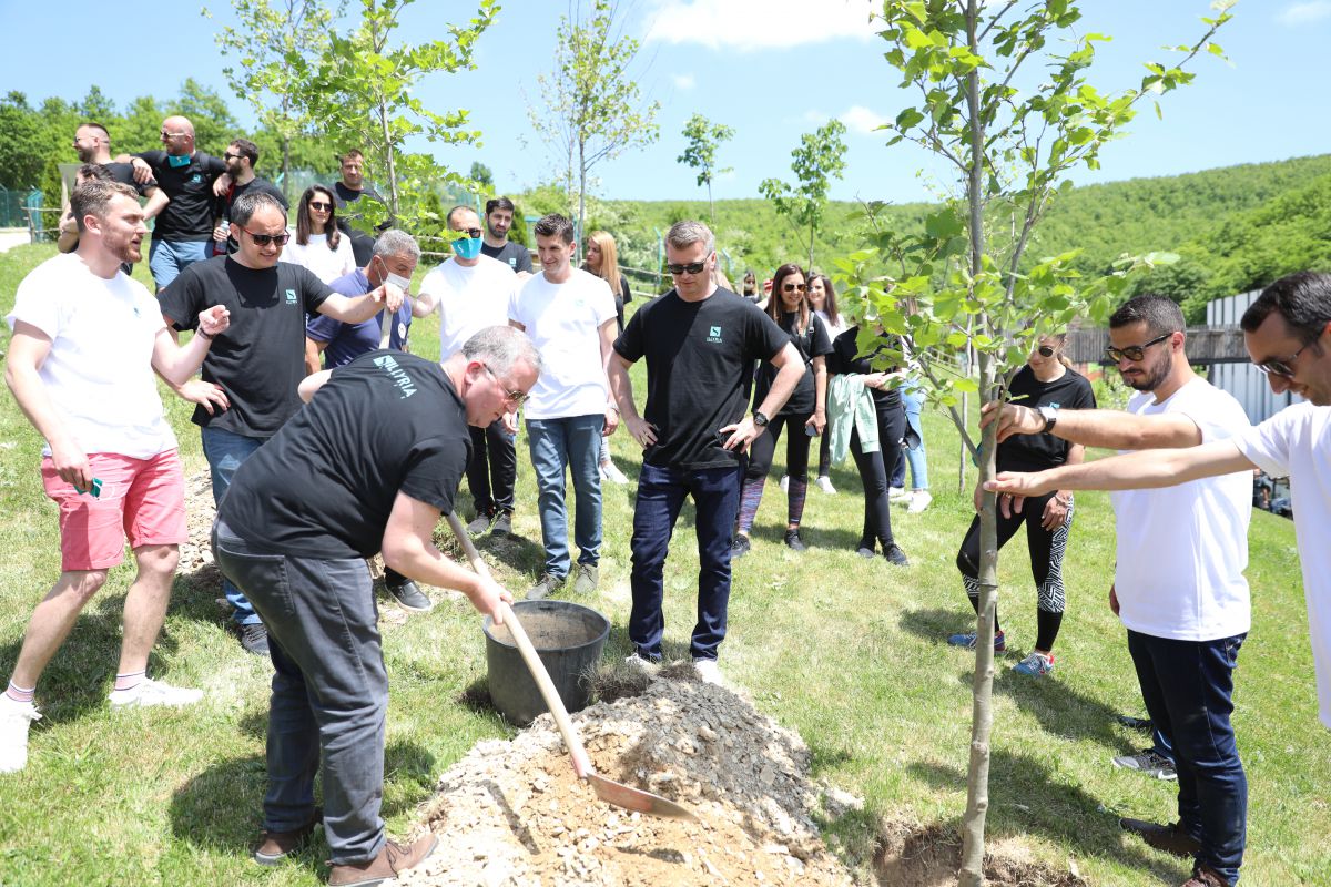 Sava Day 2021